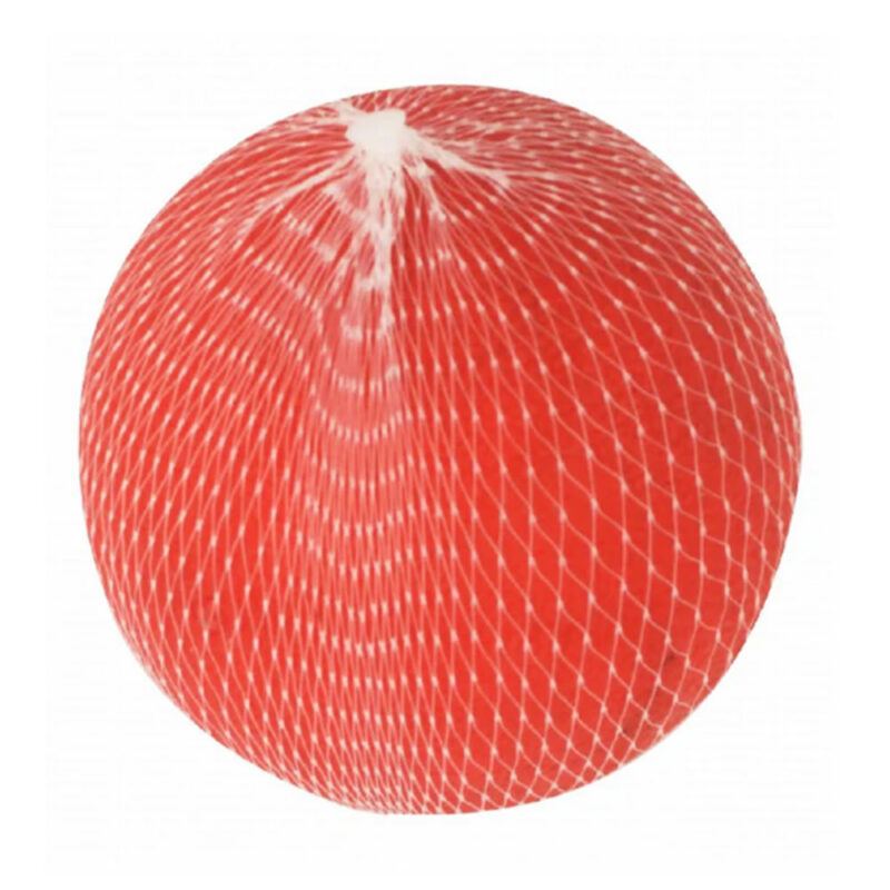 HelloMickey Small Dog Toy with Red Ball