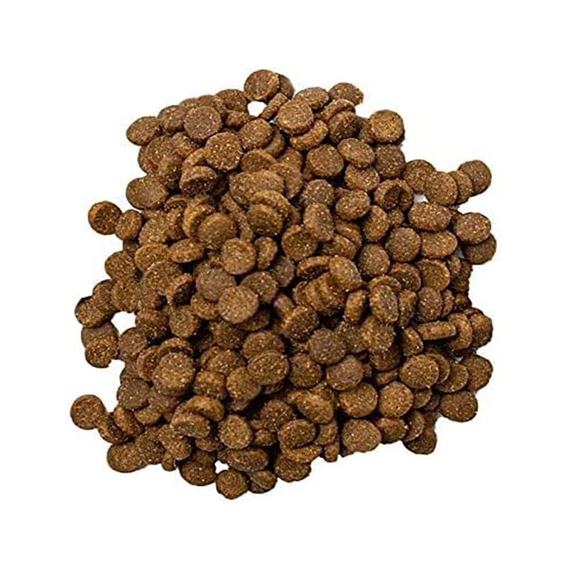 Doodzy Classico – 1kg – Cats - Image 3