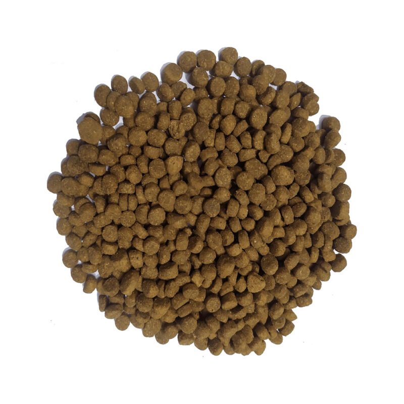 Doodzy Premium – 1kg – Cats - Image 3