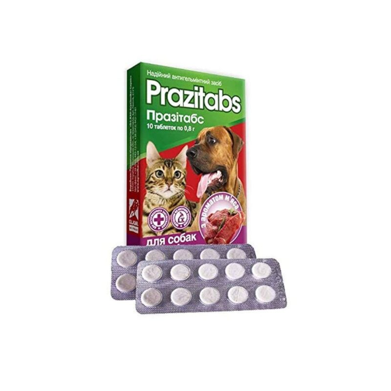 Prozitads Deworming Tablet – Effective Protection for Cats & Dogs