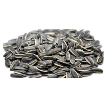 Syrian Sunflower Seeds – 1/2 Kg Natural Pet Food