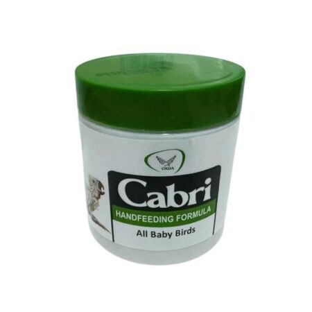 Small Capri for Hand Feeding