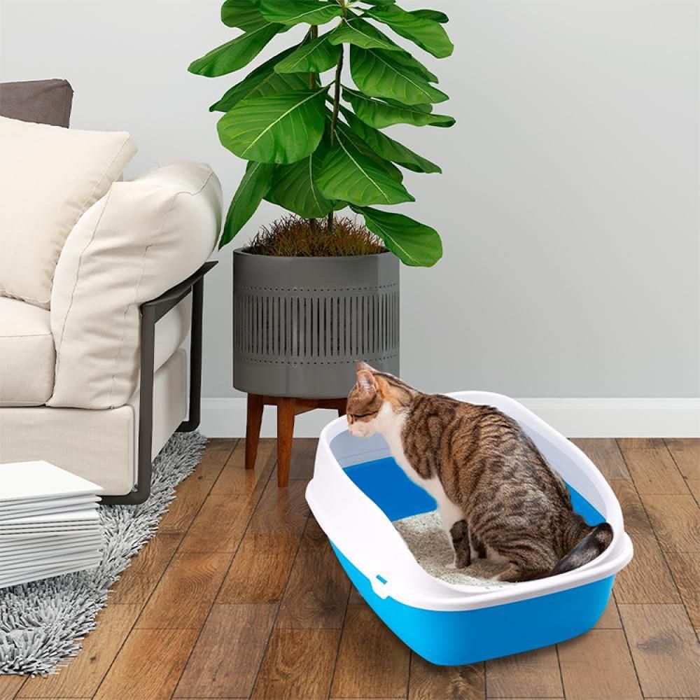 Beta Plus Litter Box for Cats Plastic Medium – Multicolor - Image 4